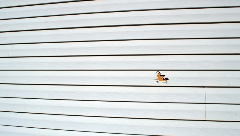 Expert Vinyl Siding Repair